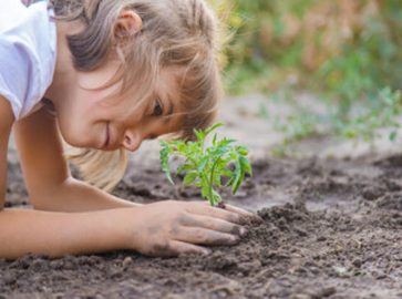 Онлайн-події для школярів